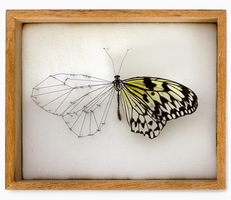 La Mariposa de la Música