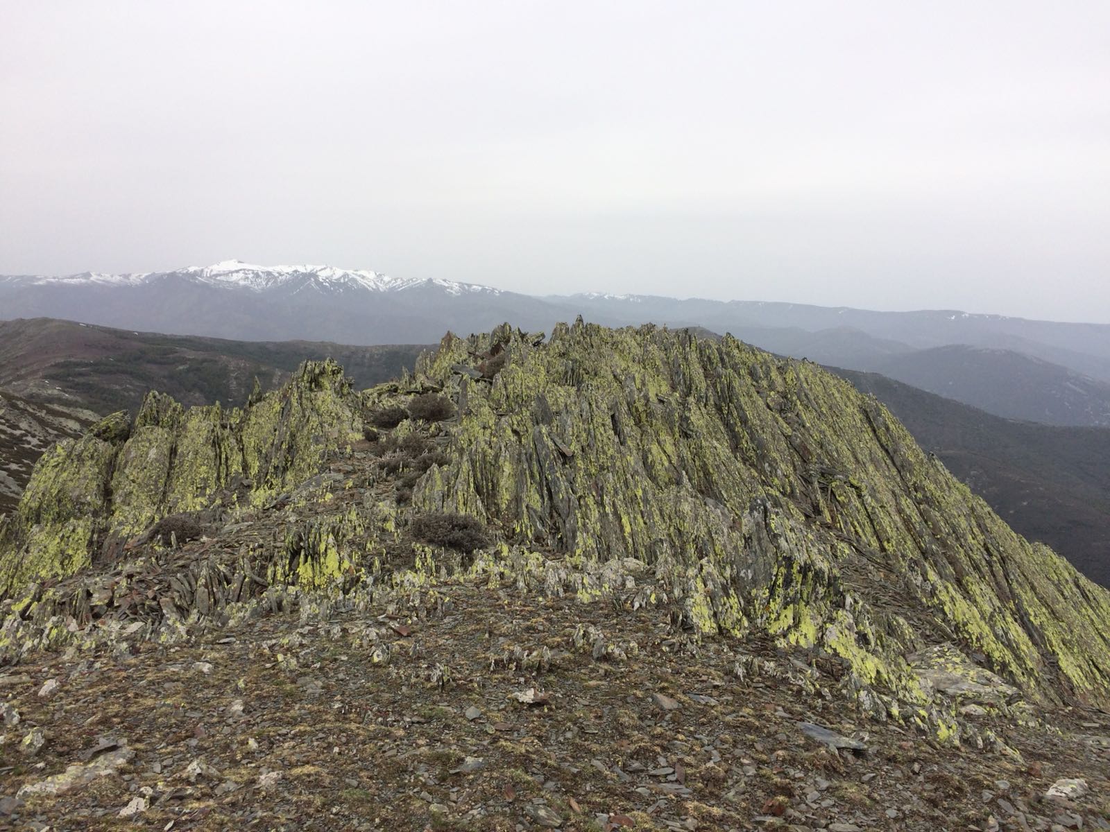 Pico La Tornera