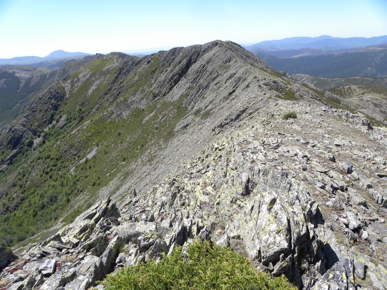 Cresta del Dragón