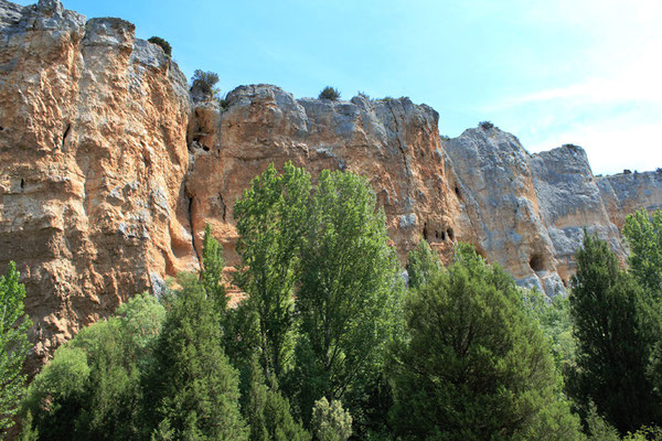 Las Hoces del Riaza (Segovia)