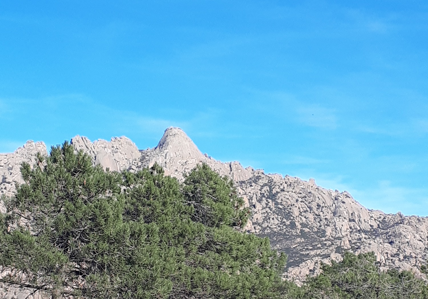 20191229_153444_YELMO