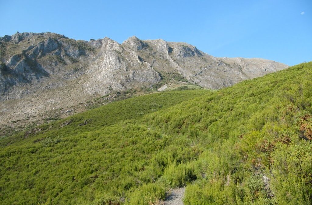 El Bierzo (León)