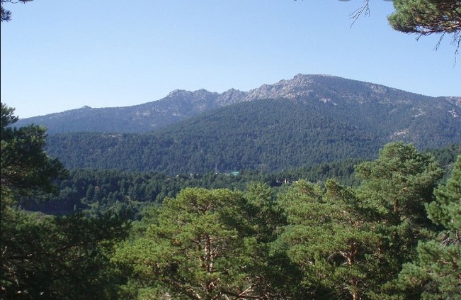 Siete Picos