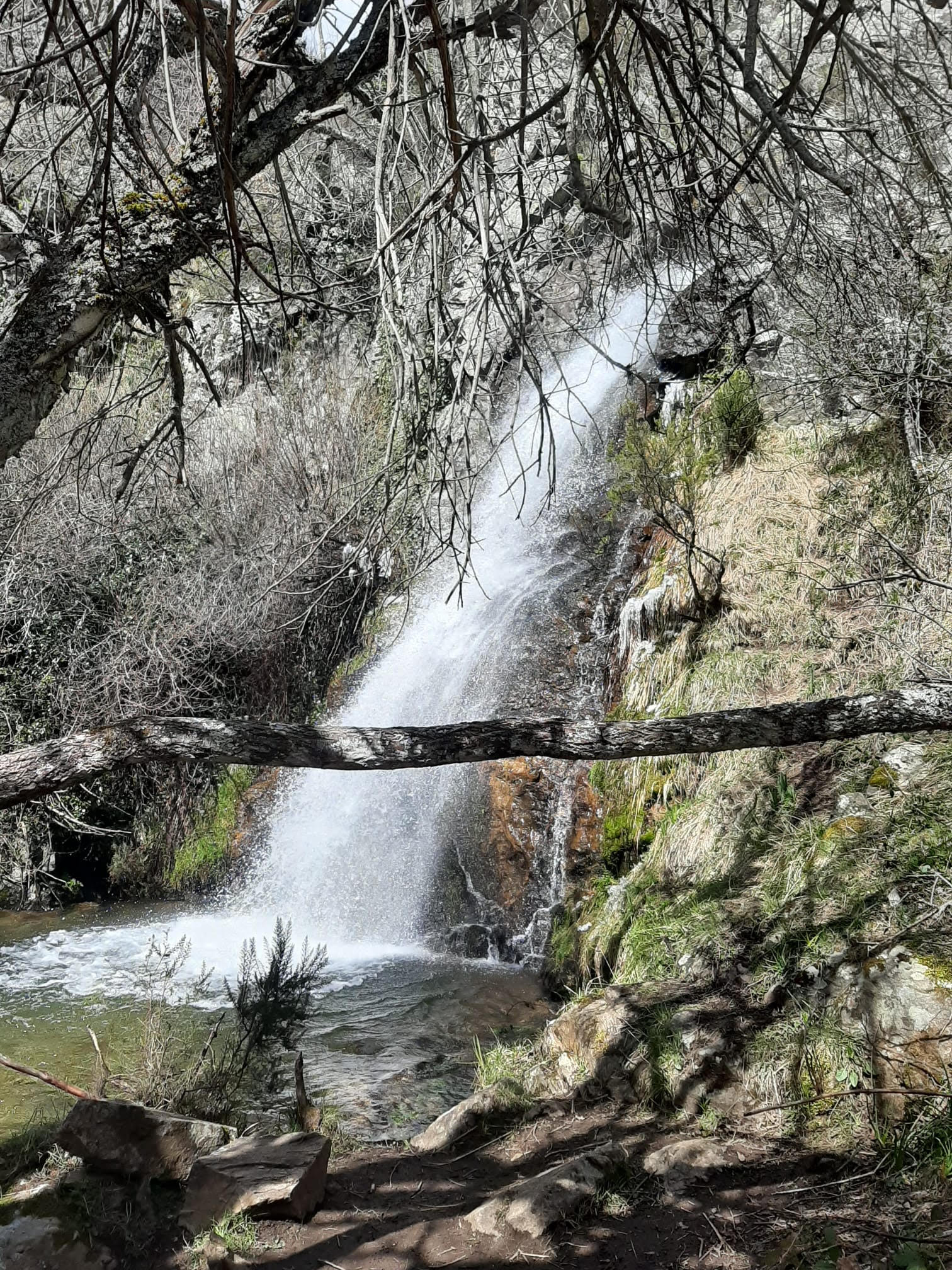 unnamed