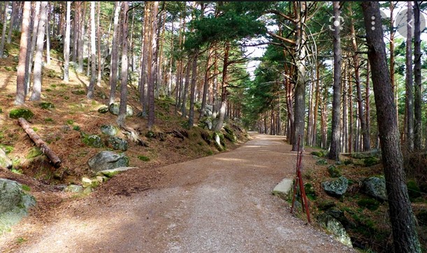 Miraflores de la Sierra- Pto. de Canencia