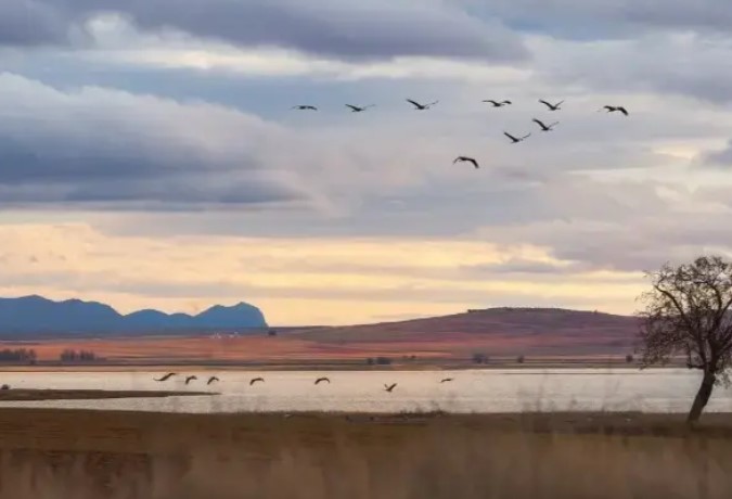 Laguna de Gallocanta&nbsp;&nbsp;(Zaragoza)