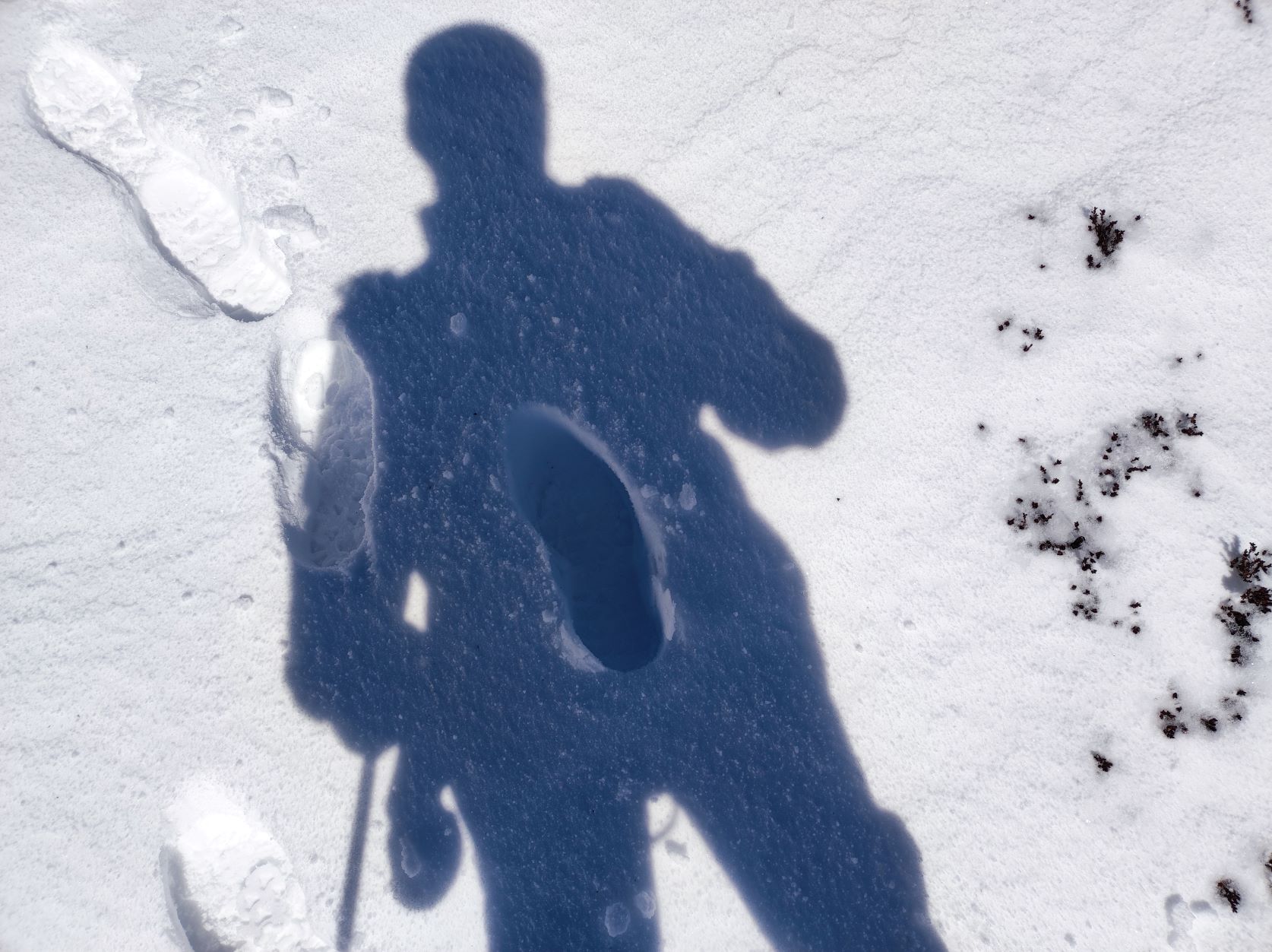 huella en la nieve_