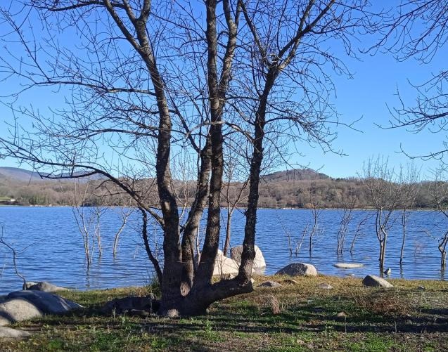 Rozas de Puerto Real, Navahondilla, embalse de los Morales y castañar (Madrid)