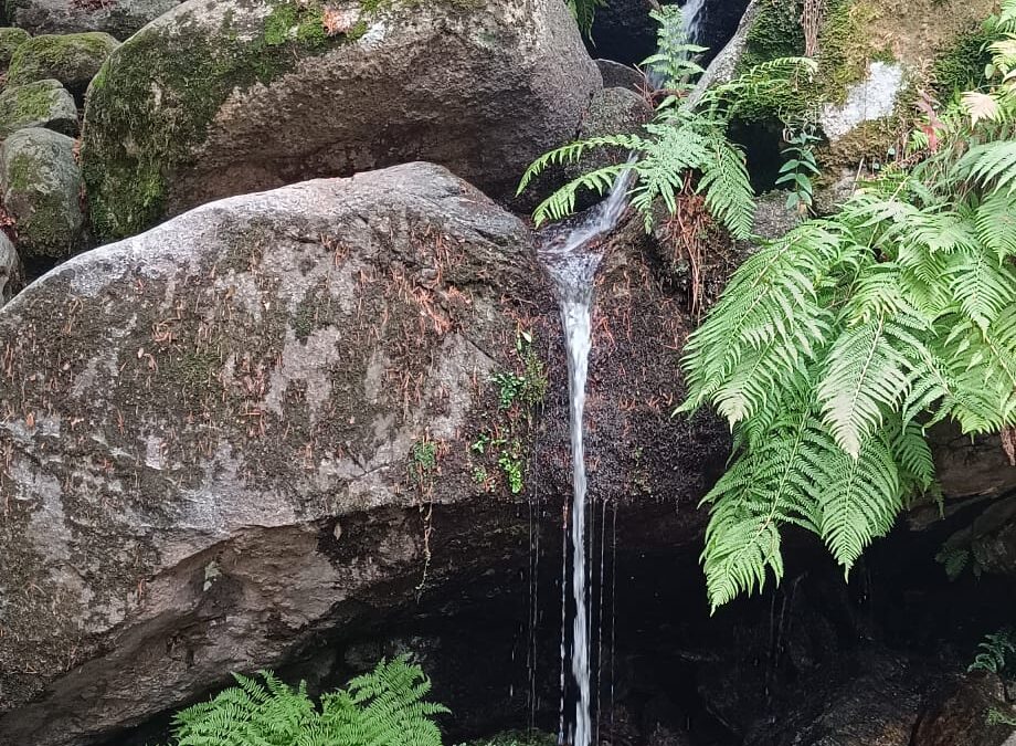 Ducha de los Alemanes por Fuente de los Acebos,  vuelta Senda de la Teja desde Camorritos (Cercedilla, Madrid)